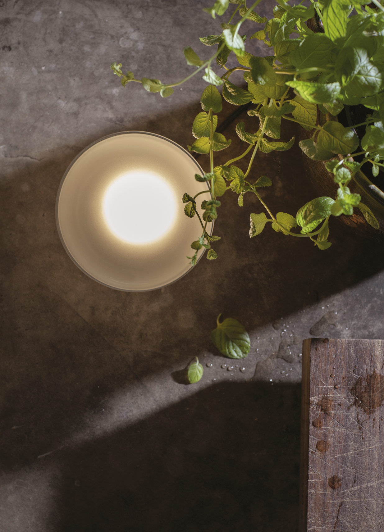 Karman Agua - Purity Luxury decorative lightnings Indoor