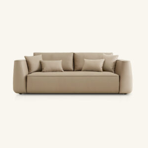 C863-frontal