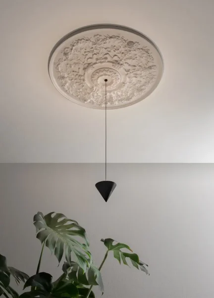 moon-bloom-new-1